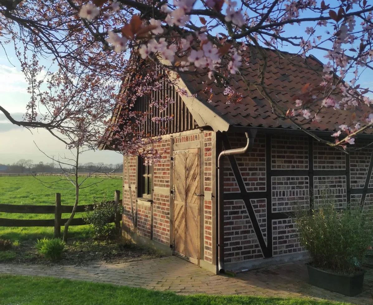 Holz für Außen